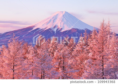 Mt. Fuji in winter, rime on the sunrise 109943368