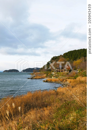 [Omihachiman City, Lake Biwa Quasi-National Park “Lake Biwa” Mizugahama, Lake Biwa shore and reed community] 109943439