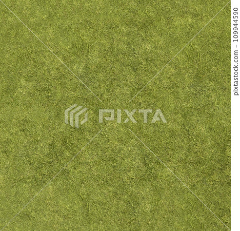 Background texture of green grass close-up view from above Background texture of green grass close-up view from above 109944590