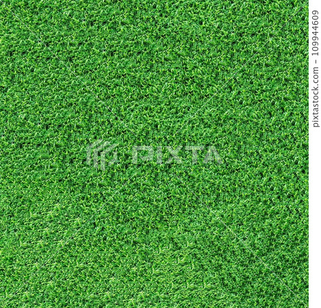 Background texture of green grass top view Background texture of green grass top view 109944609