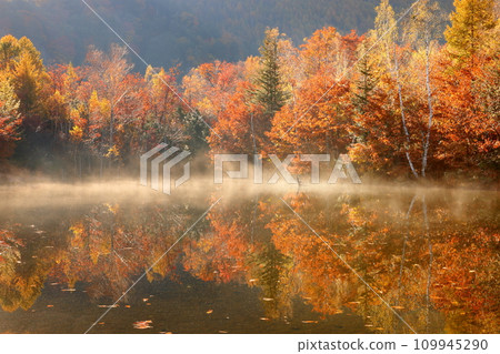 Azumi Suzuran, Matsumoto City, Nagano Prefecture, Norikura Kogen Ichinoseenchi, early morning air storm on the water surface of Maimeno Pond and the reflection of autumn leaves in the water mirror Azumi Suzuran, Matsumoto City, Nagano Prefecture, Norikura Kogen Ichinoseenchi, early morning air storm on the water surface of Maimeno Pond and the reflection of autumn leaves in the water mirror 109945290