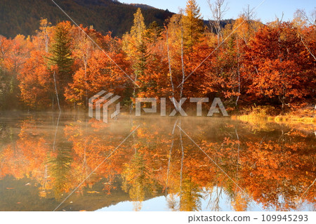 Azumi Suzuran, Matsumoto City, Nagano Prefecture, Norikura Kogen Ichinoseenchi, early morning air storm on the water surface of Maimeno Pond and the reflection of autumn leaves in the water mirror Azumi Suzuran, Matsumoto City, Nagano Prefecture, Norikura Kogen Ichinoseenchi, early morning air storm on the water surface of Maimeno Pond and the reflection of autumn leaves in the water mirror 109945293