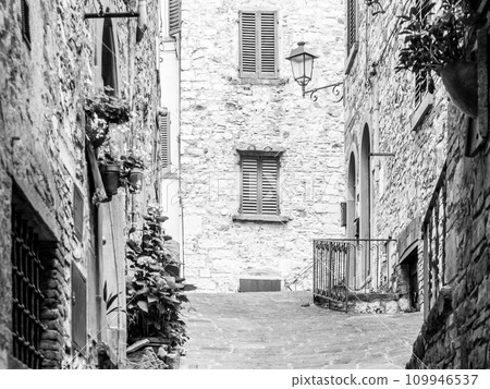 Old medieval street with flowers at stone houses in Tuscan town. Black and white photography. 109946537