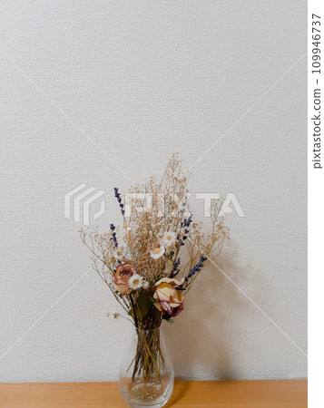 Dried flower  109946737