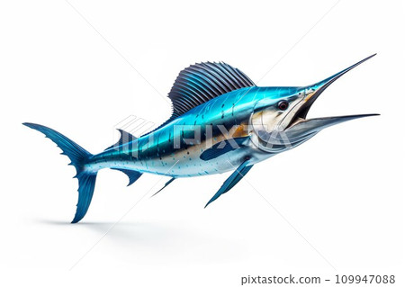 馬林魚影像 02 109947088