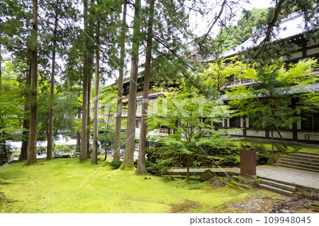 福井縣曹洞宗總山永平寺 福井縣曹洞宗總山永平寺 109948045