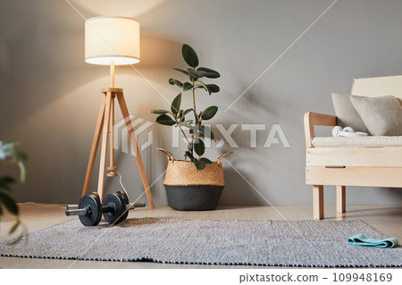 Training, being fit at home. Fitness gum and barbells on the floor in living room, home sporty space for indoors workout. 109948169
