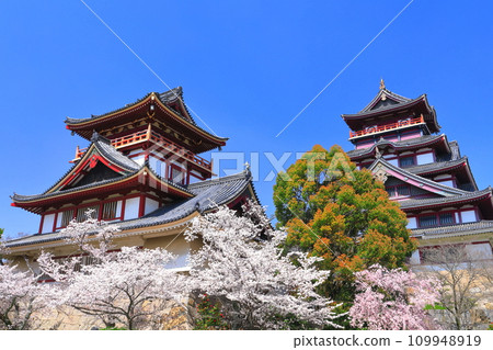 [Kyoto Prefecture] Fushimi Momoyama Castle under fine weather and cherry blossoms in full bloom (large and small towers) 109948919