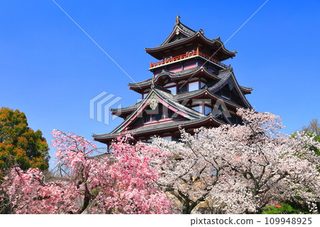 [Kyoto Prefecture] Fushimi Momoyama Castle and cherry blossoms in full bloom under fine weather 109948925