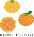 水彩畫的mikan的插圖 109949453