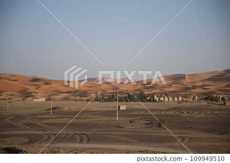 Sahara Desert 109949510