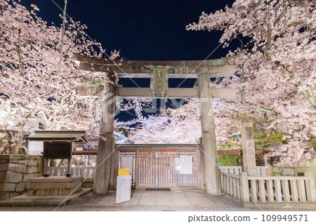 天尊神社 - 櫻花盛開、鳥居燈火通明 109949571