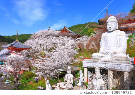 [奈良縣]櫻花盛開的坪坂寺（櫻花大佛） 109949721