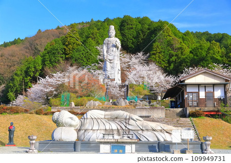 [奈良縣] 櫻花盛開的坪坂寺（大觀音像） 109949731