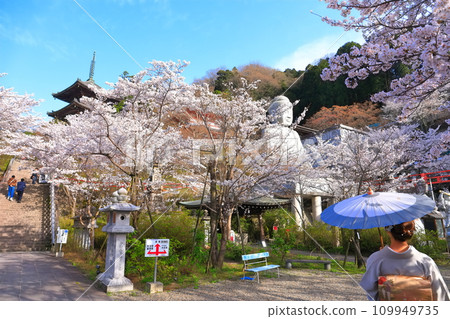 [奈良縣]櫻花盛開的坪坂寺（櫻花大佛） 109949735