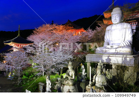 [奈良縣]櫻花盛開的坪坂寺夜景（櫻花大佛） 109949749