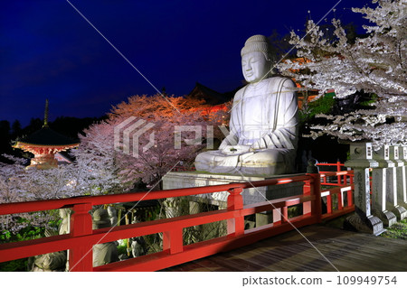[Nara Prefecture] Night view of Tsubosaka Temple with cherry blossoms in full bloom (Sakura Daibutsu) 109949754