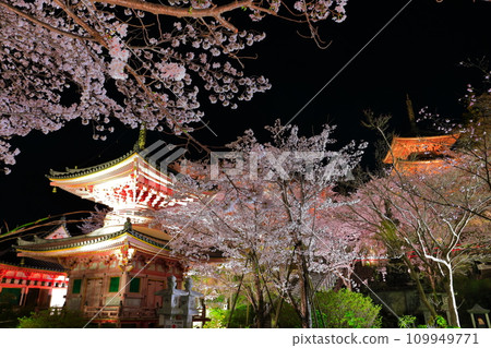 [Nara Prefecture] Night view of Tsubosaka Temple with cherry blossoms in full bloom (Sakura Daibutsu) 109949771