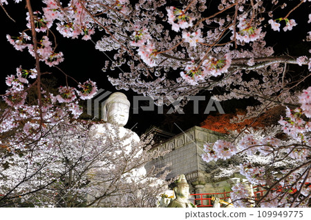 [Nara Prefecture] Night view of Tsubosaka Temple with cherry blossoms in full bloom (Sakura Daibutsu) 109949775