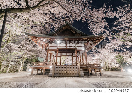 天尊神社櫻花盛開的彩燈 109949987