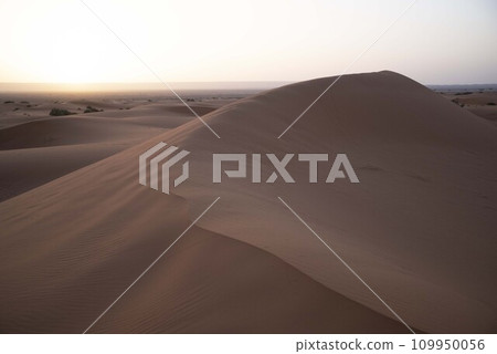 Sahara Desert 109950056