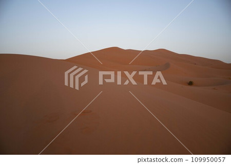 Sahara Desert 109950057