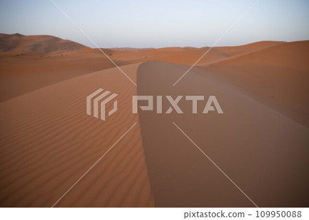 Sahara Desert 109950088