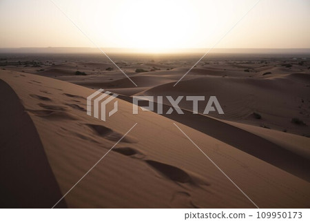 Sahara Desert 109950173