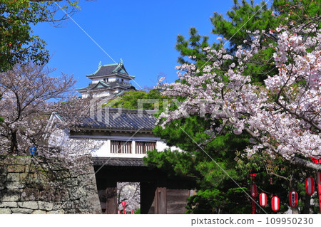 [和歌山縣]晴天櫻花盛開的和歌山城（天守閣和岡口門） 109950230
