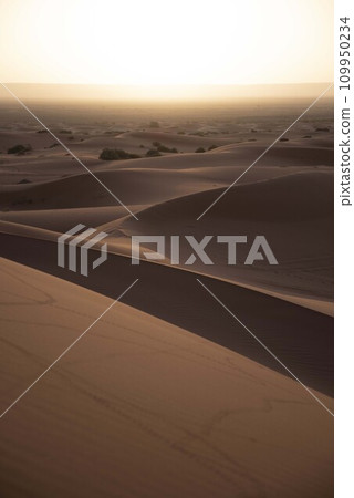 Sahara Desert 109950234