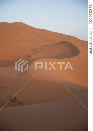 Sahara Desert 109950278