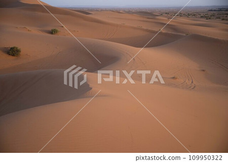 撒哈拉沙漠 109950322
