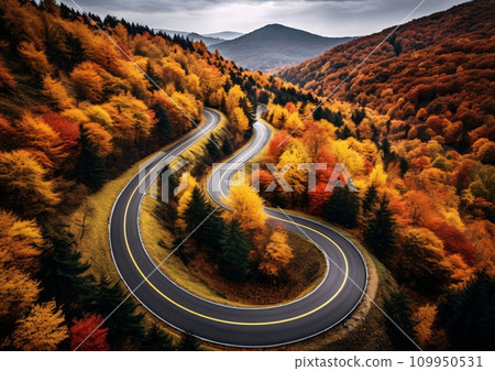 Trees in autumn with serpentine road, birds-eye-view, AI Generated Trees in autumn with serpentine road, birds-eye-view, AI Generated 109950531