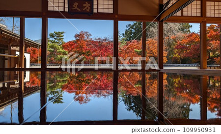 Floor maple leaves at Houtokuji Temple, Kiryu City, Gunma Prefecture 109950931