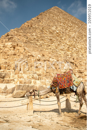 埃及吉薩三座金字塔的美景 埃及吉薩三座金字塔的美景 109951019