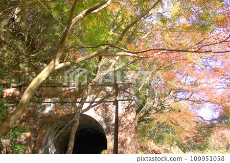 [Aichi Prefecture] Around Aiki Tunnel Group in Kasugai City 109951058