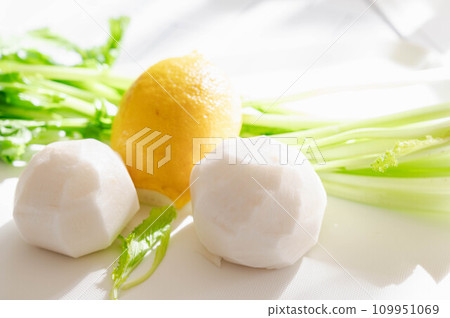 蘿蔔用於烹飪 109951069