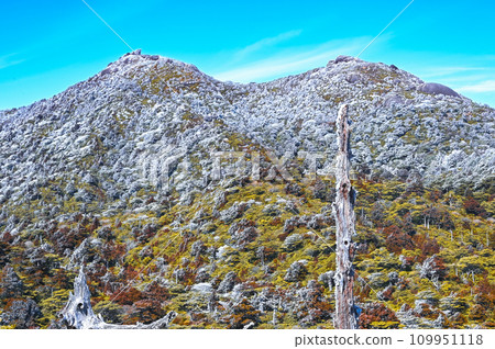 屋久島美麗的山景,冬天和春天都可以看到 屋久島美麗的山景,冬天和春天都可以看到 109951118