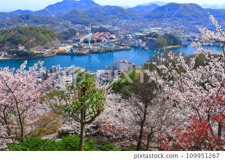 [廣島縣]從櫻花盛開的千光寺看到的尾道街景 109951267