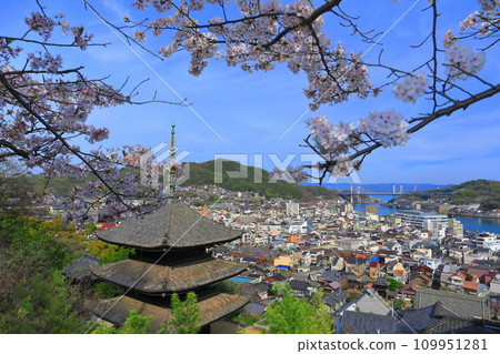 [廣島縣]櫻花盛開的天寧寺（三層寶塔）和尾道的街道 109951281