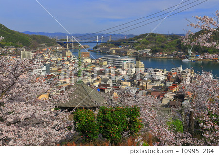 [廣島縣]櫻花盛開的天寧寺（三層寶塔）和尾道的街道 109951284