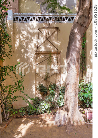 A lone tree casts its shadow on a weathered stone wall, creating a stark contrast between light and dark 109951629