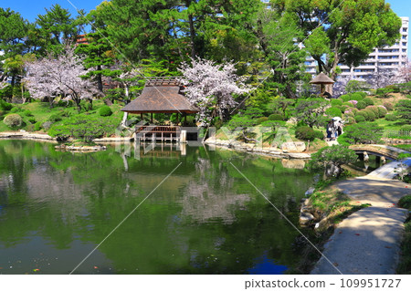 [廣島縣]櫻花盛開的縮景園 109951727