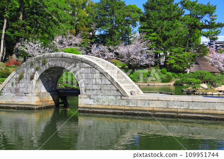 [廣島縣]櫻花盛開的縮景園（跨橋） 109951744