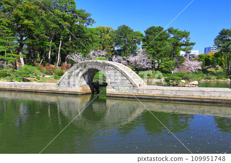 [Hiroshima Prefecture] Shukkeien Garden (straddling bridge) with cherry blossoms in full bloom 109951748