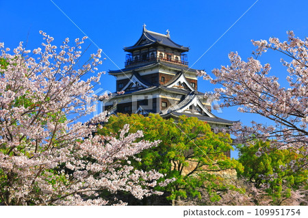 [廣島縣]櫻花盛開的廣島城天守閣 109951754