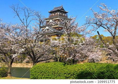 [廣島縣]櫻花盛開的廣島城天守閣 109951775