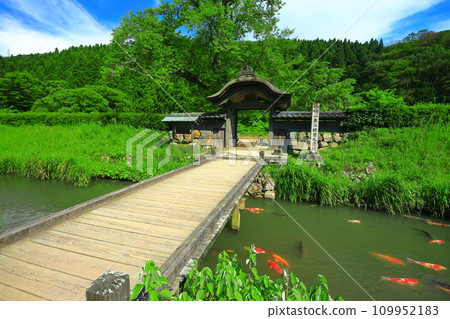 [福井縣]晴天的一乘谷朝倉氏遺址（朝倉住宅遺址） 109952183
