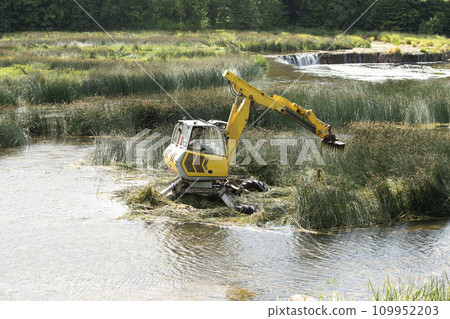 Cleaning the Ventas river from algae, Kuldiga, Latvija. High quality photo 109952203