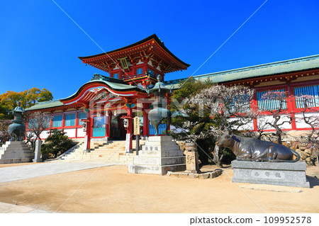 [山口縣]晴天的防府天滿宮櫻花門 109952578